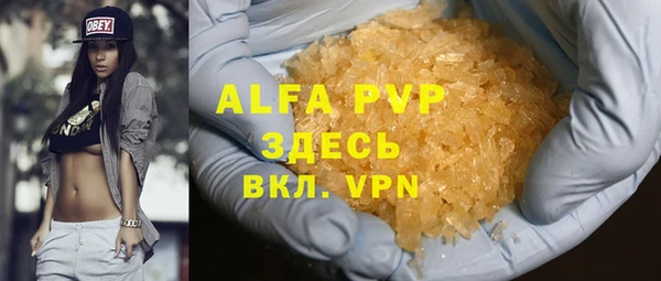прущие грибы Белокуриха
