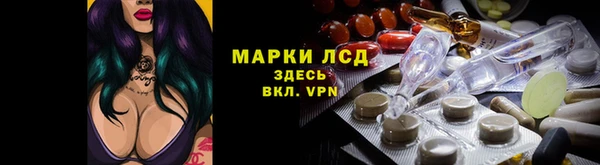 прущие грибы Белокуриха