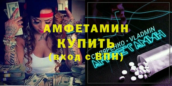 прущие грибы Белокуриха