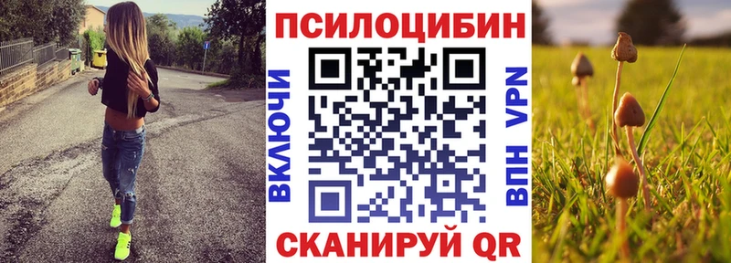 Псилоцибиновые грибы прущие грибы  Кедровый 